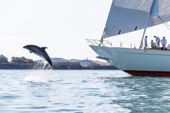 Benetti выступает за экологию